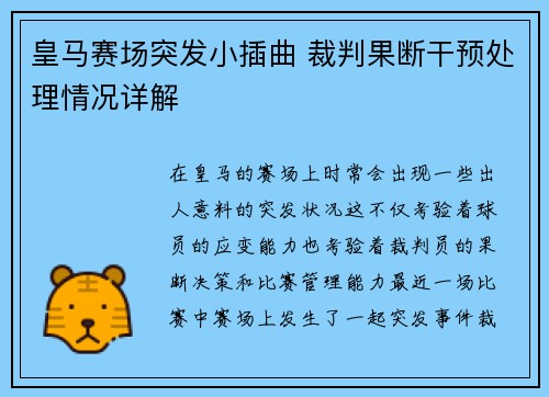 皇马赛场突发小插曲 裁判果断干预处理情况详解