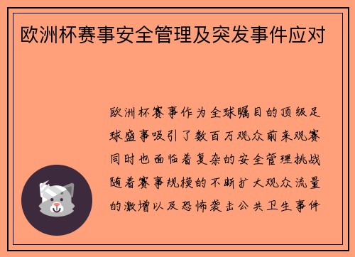 欧洲杯赛事安全管理及突发事件应对